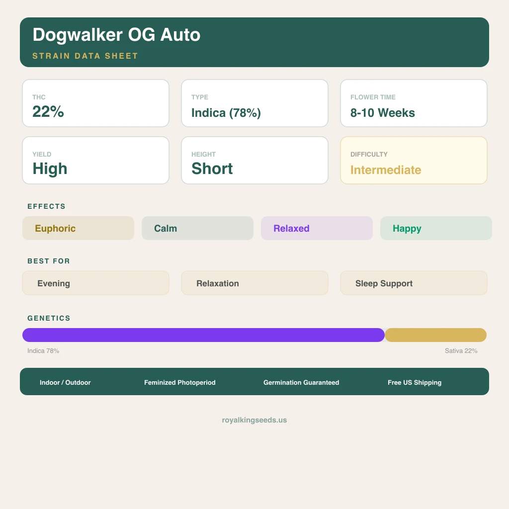 Dogwalker OG 78% indica / 22% sativa — fleur avec trichomes visibles