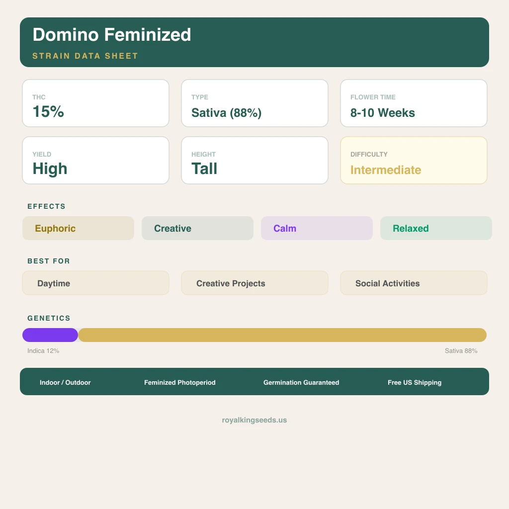 Domino 12% indica / 88% sativa — fleur avec trichomes visibles
