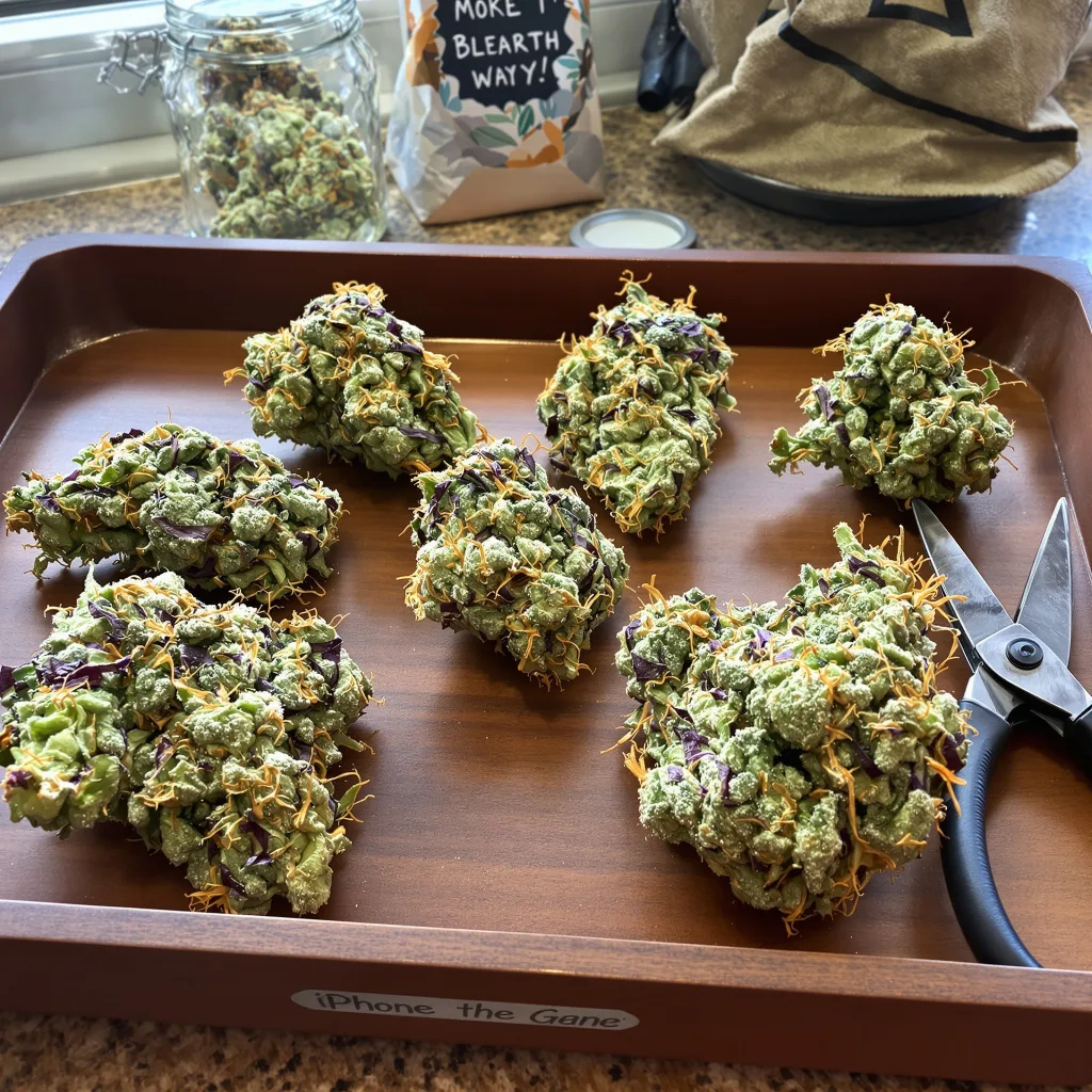 Dr. Who 50% indica / 40% sativa — fleur avec trichomes visibles