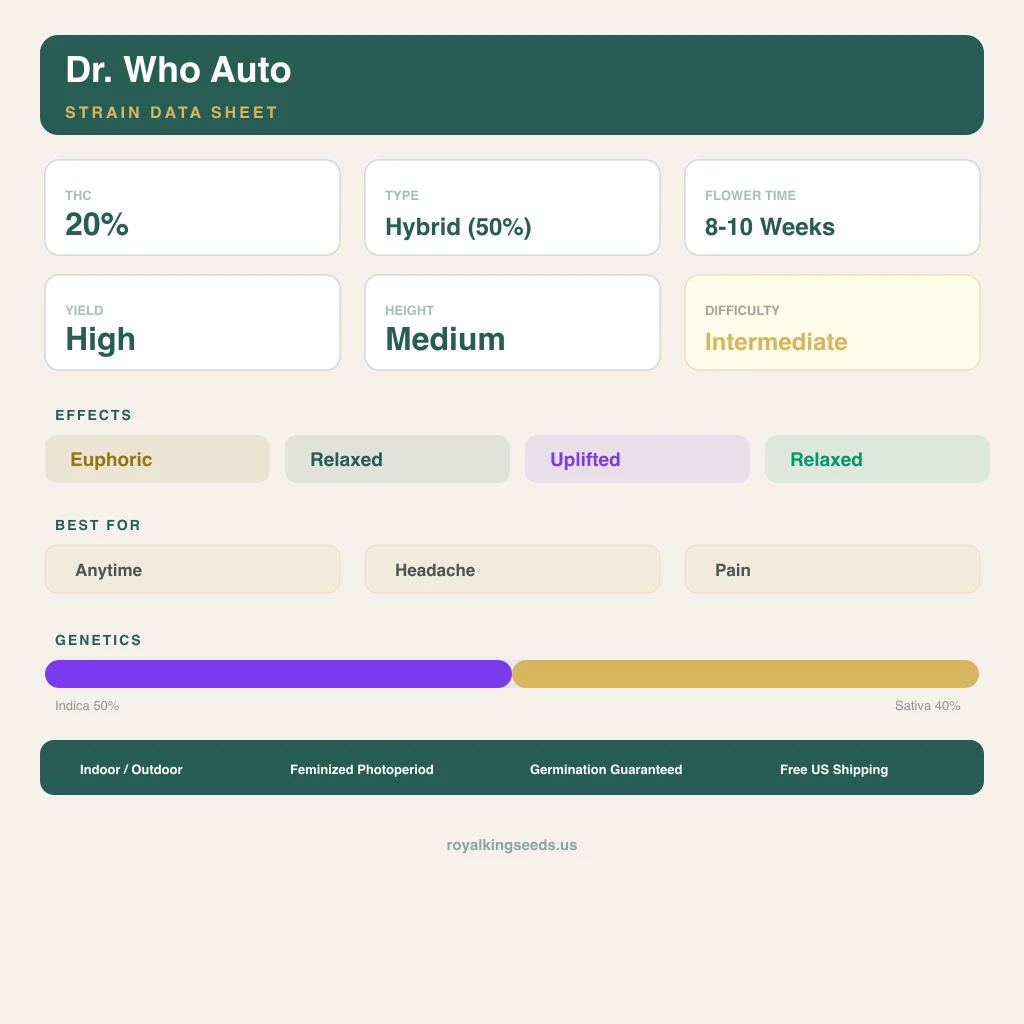 Dr. Who 50% indica / 40% sativa — fleur avec trichomes visibles
