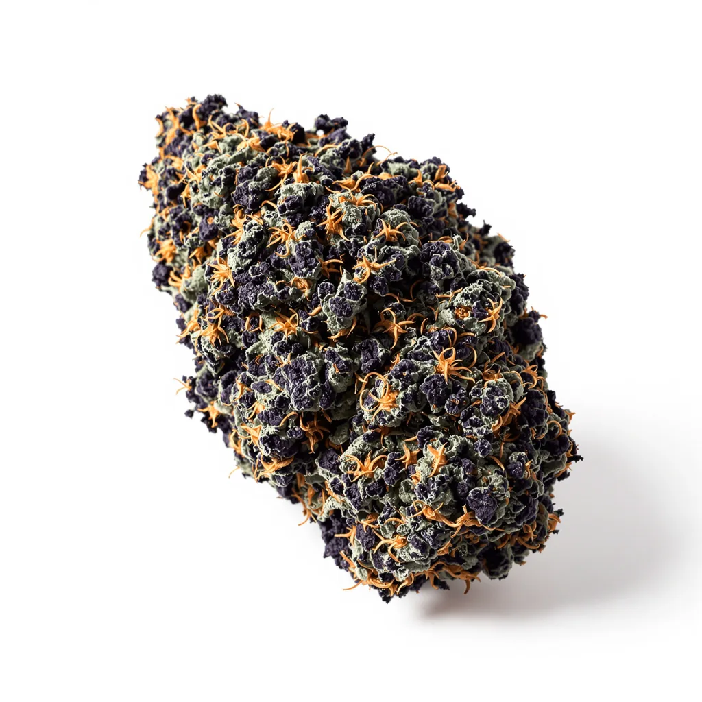 Dream Queen 76% indica / 24% sativa — fleur avec trichomes visibles