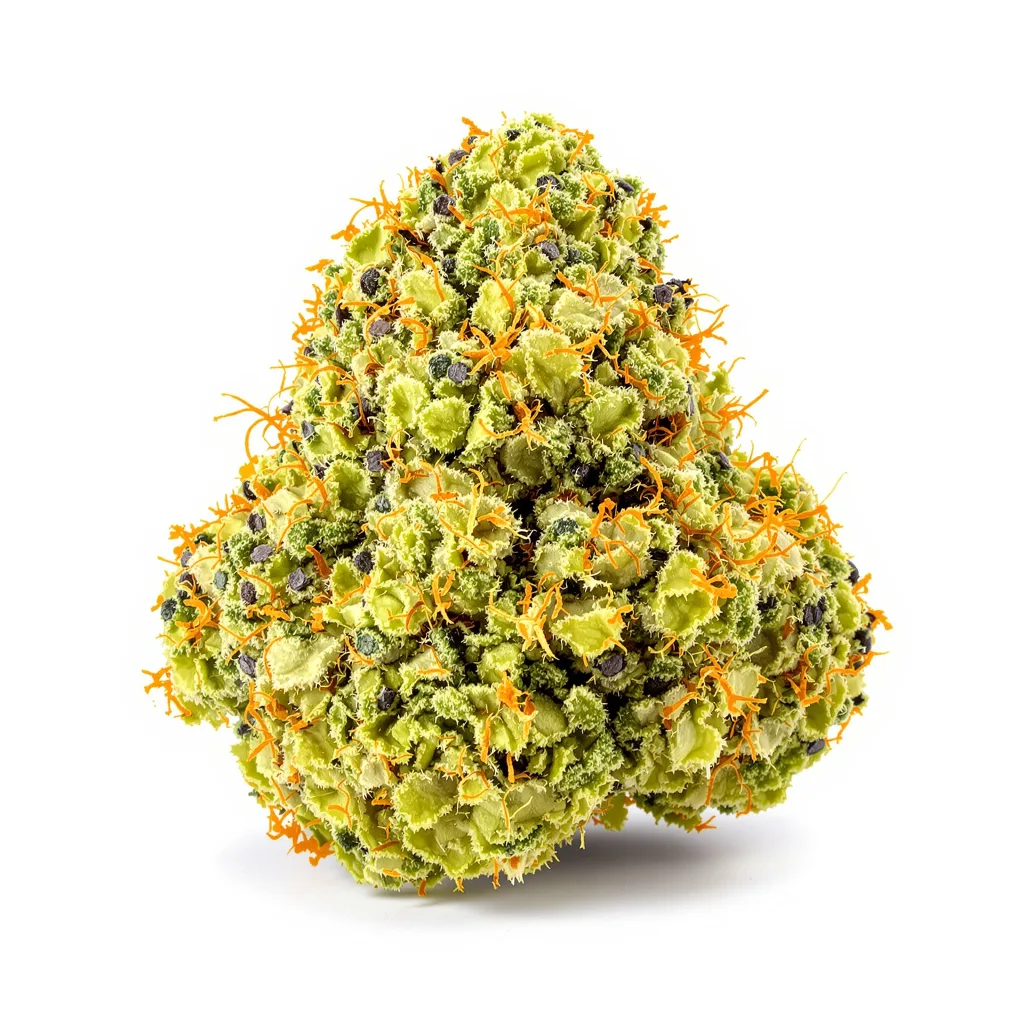 Dutch Dragon 9% indica / 91% sativa — fleur avec trichomes visibles