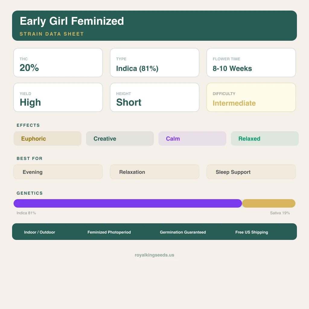 Early Girl 81% indica / 19% sativa — fleur avec trichomes visibles
