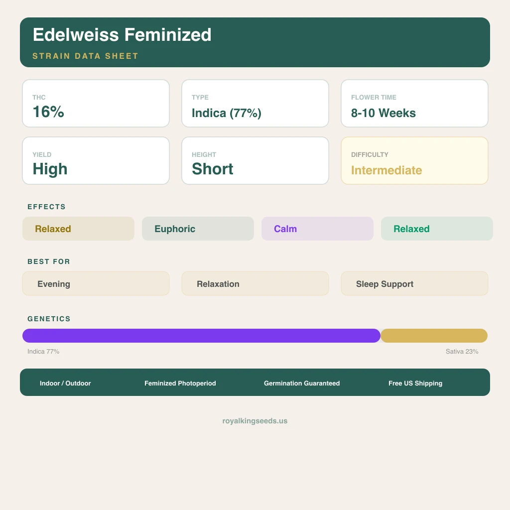 Edelweiss 77% indica / 23% sativa — fleur avec trichomes visibles