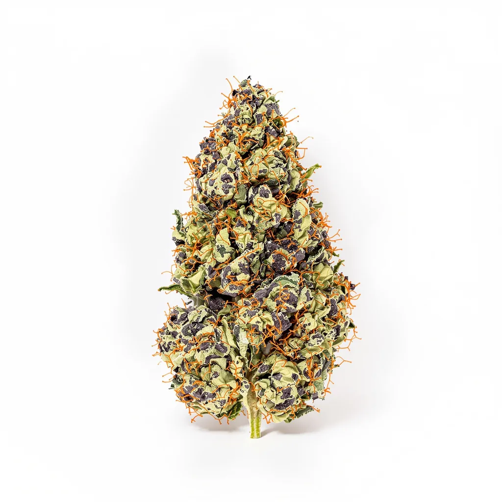 Extreme OG 70% indica / 30% sativa — fleur avec trichomes visibles