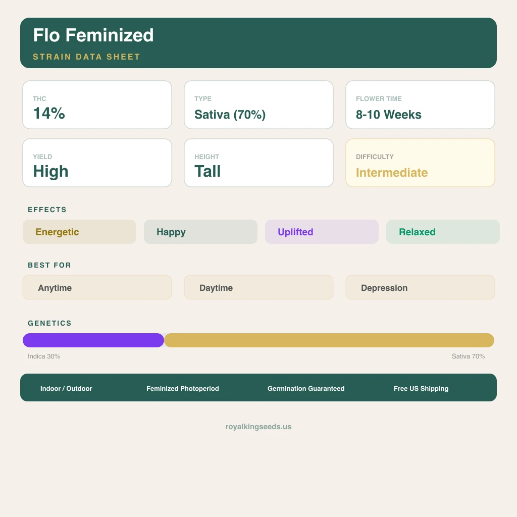 Flo 30% indica / 70% sativa — fleur avec trichomes visibles