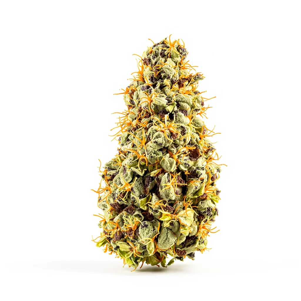 G13 85% indica / 15% sativa — fleur avec trichomes visibles