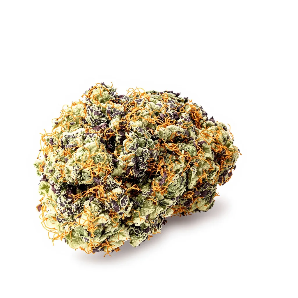 G13 Widow 65% indica / 35% sativa — fleur avec trichomes visibles