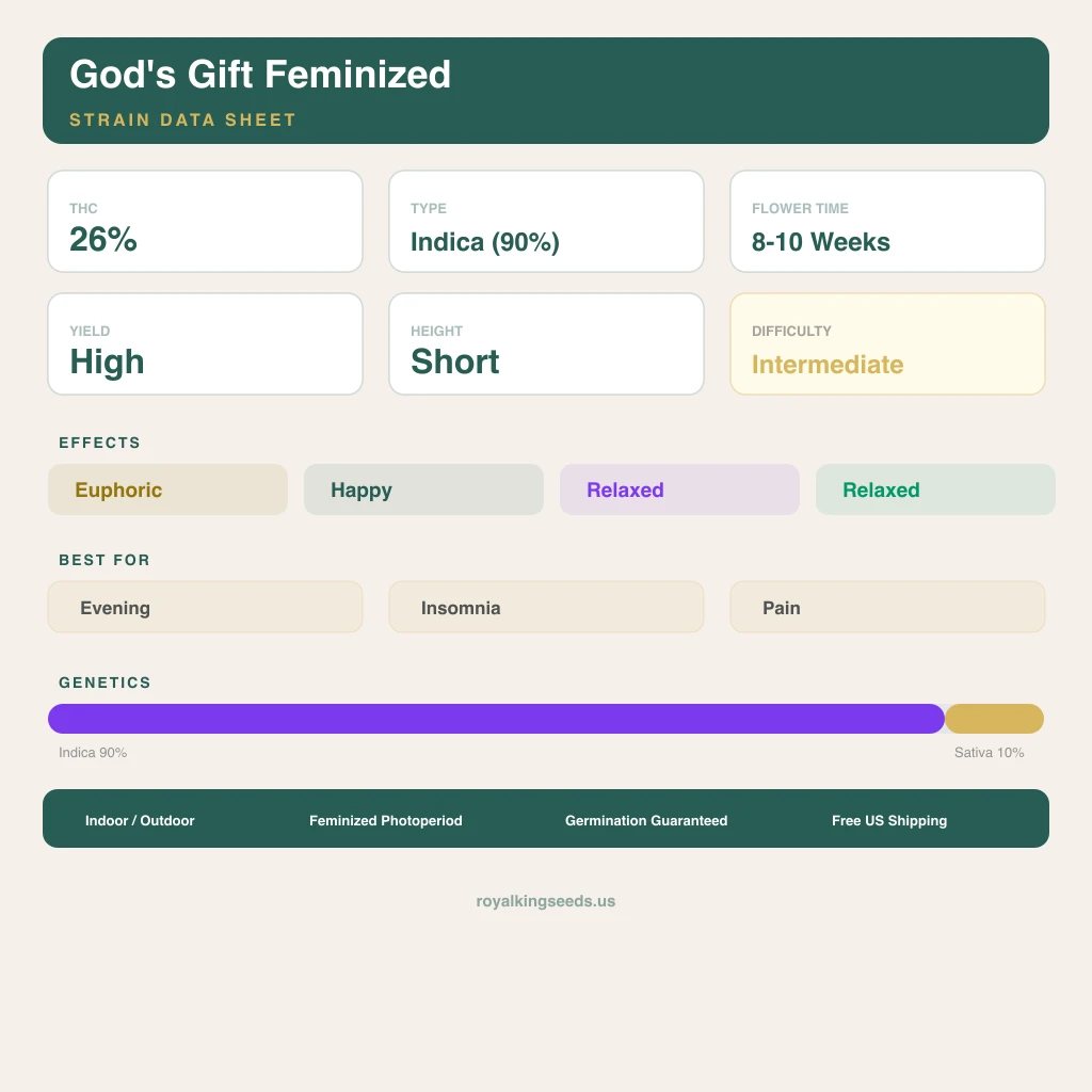 God's Gift 90% indica / 10% sativa — fleur avec trichomes visibles