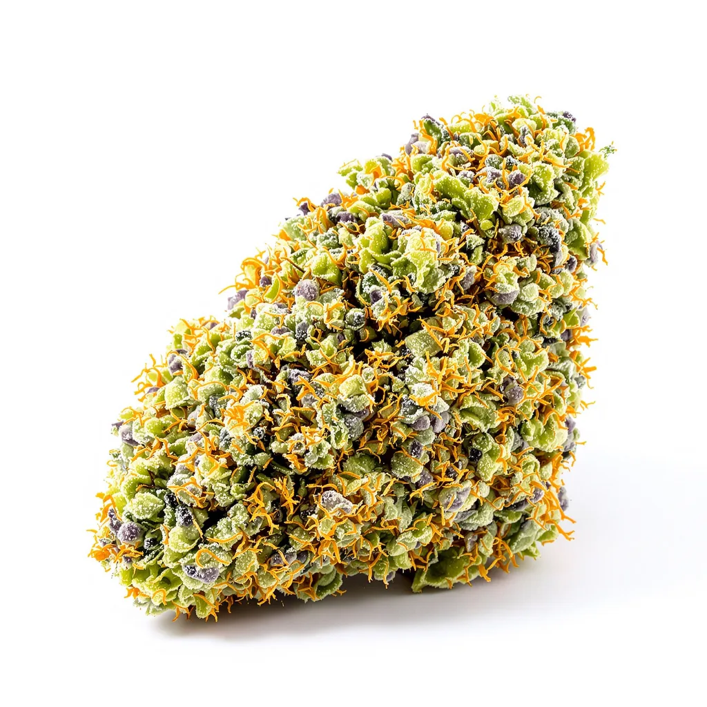 God's Green Crack 50% indica / 40% sativa — fleur avec trichomes visibles