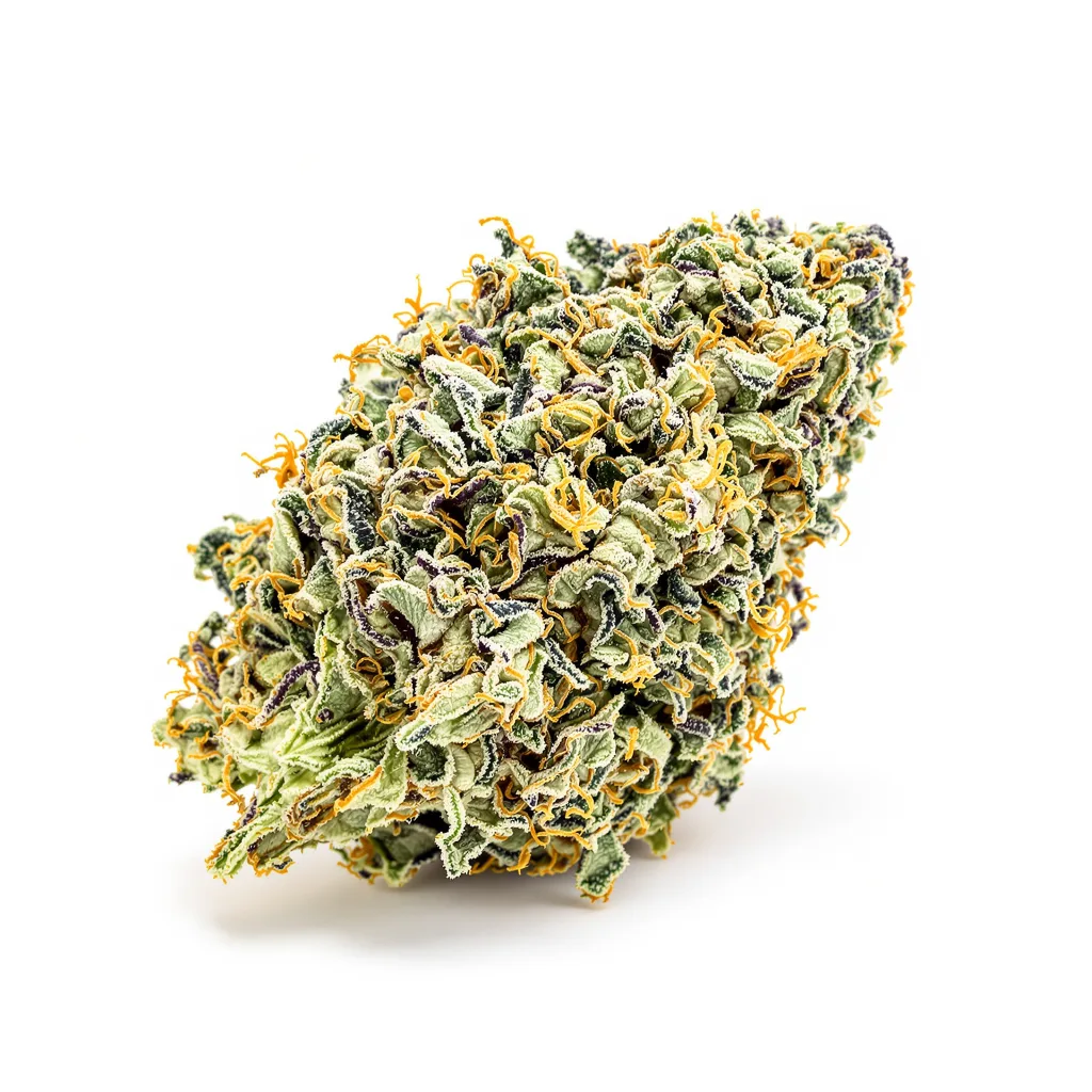 Godfather Purple Kush 53% indica / 47% sativa — fleur avec trichomes visibles