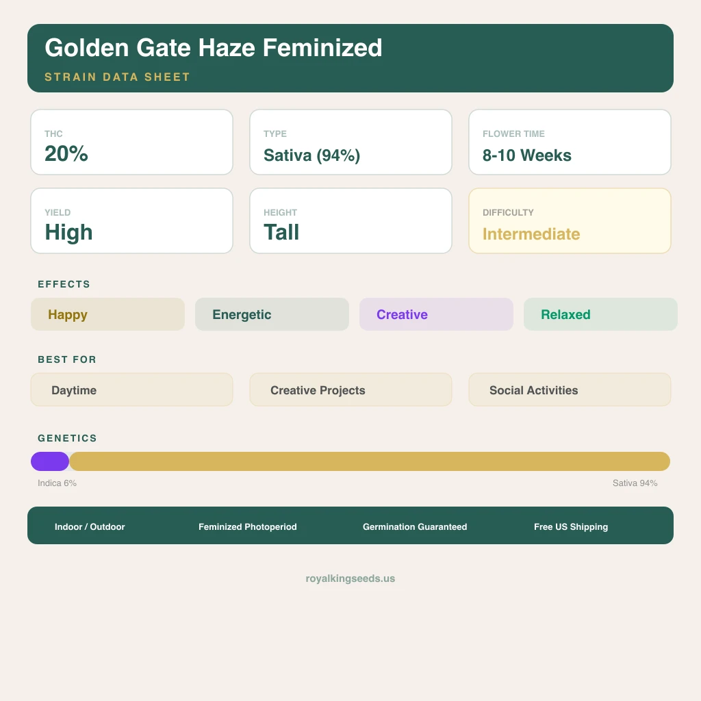 Golden Gate Haze 6% indica / 94% sativa — fleur avec trichomes visibles