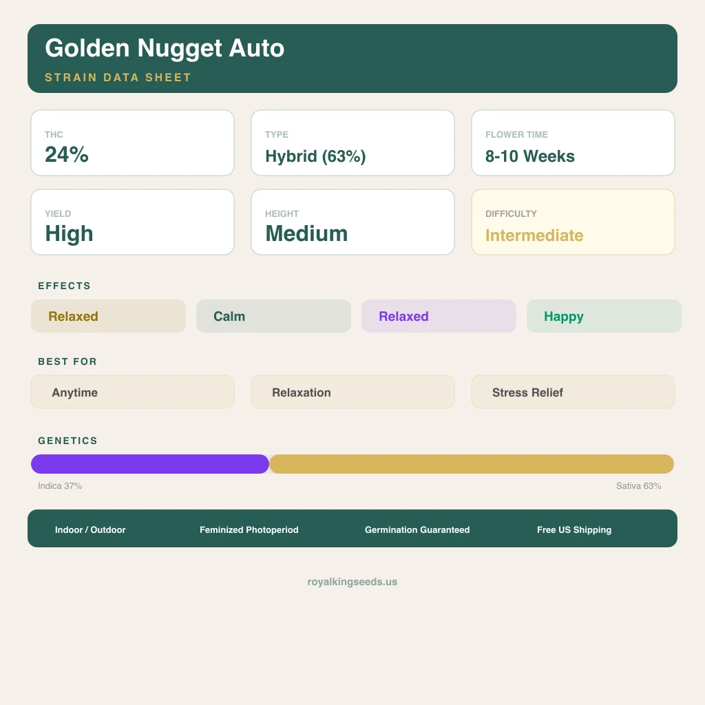 Golden Nugget 37% indica / 63% sativa — fleur avec trichomes visibles
