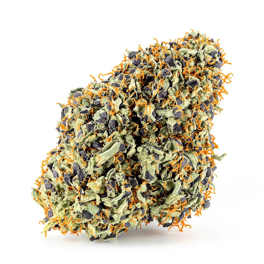 Goo 74% indica / 26% sativa — fleur avec trichomes visibles