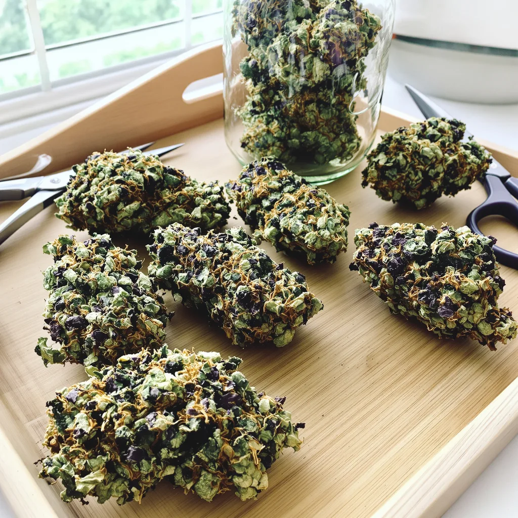 Grand Hindu 84% indica / 16% sativa — fleur avec trichomes visibles