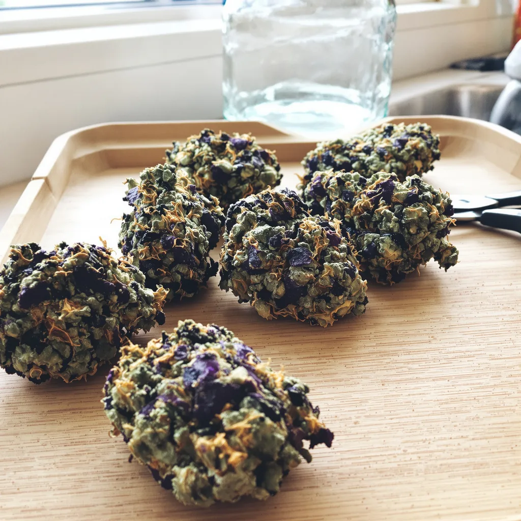 Grape Drink 89% indica / 11% sativa — fleur avec trichomes visibles