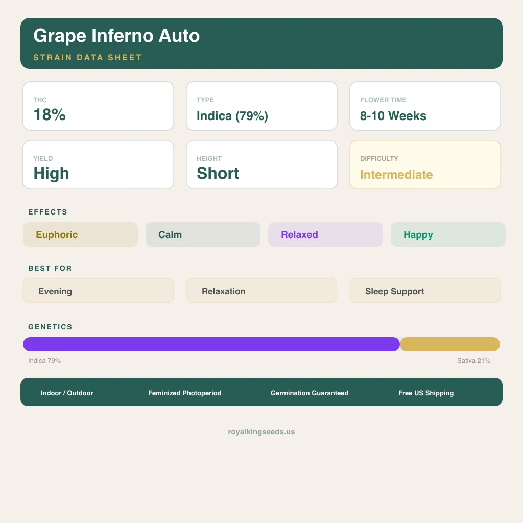Grape Inferno 79% indica / 21% sativa — fleur avec trichomes visibles
