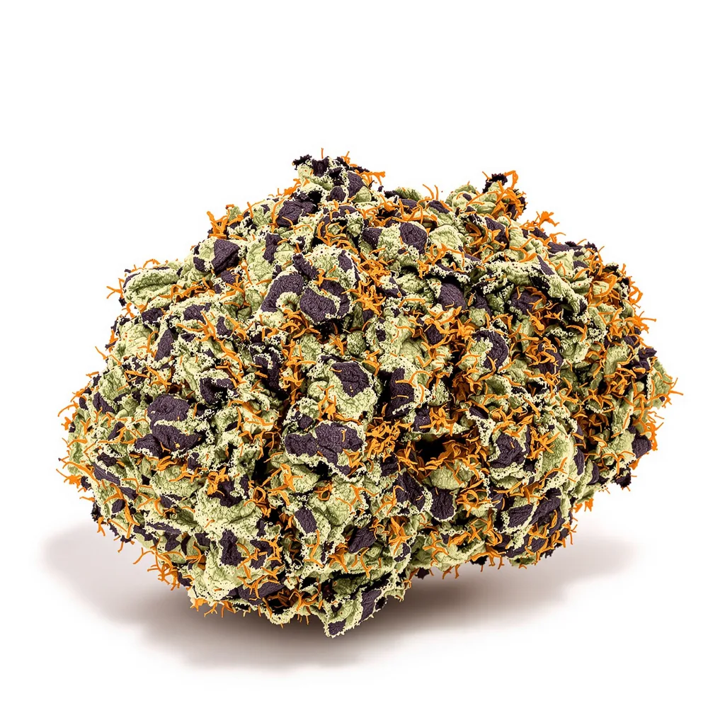Gravity 75% indica / 25% sativa — fleur avec trichomes visibles