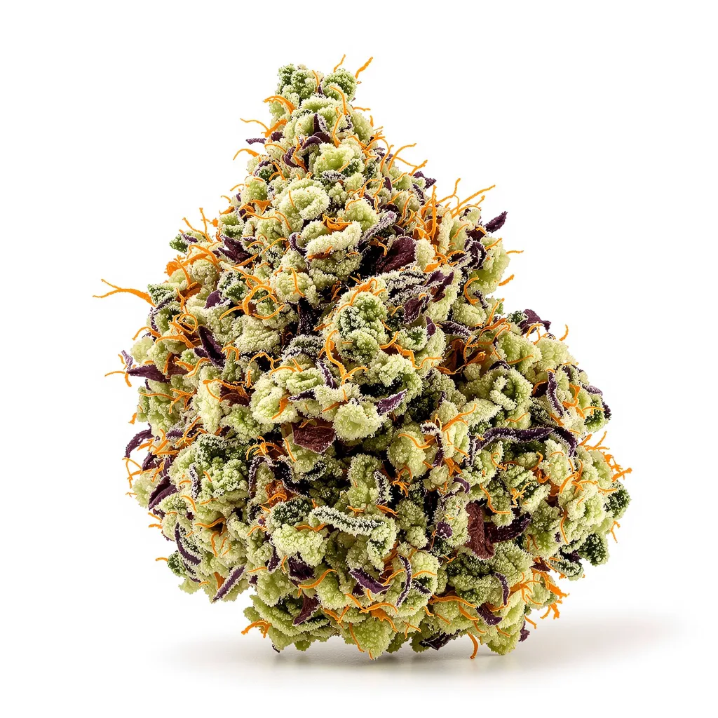 Green Goblin 48% indica / 52% sativa — fleur avec trichomes visibles