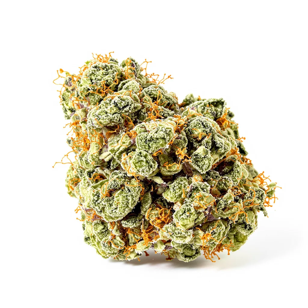 Green Queen 40% indica / 50% sativa — fleur avec trichomes visibles