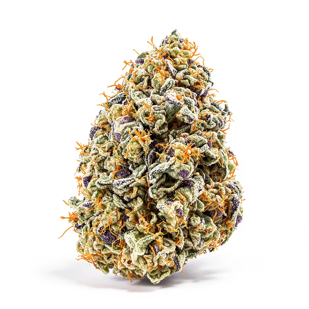 Guptilla 58% indica / 42% sativa — fleur avec trichomes visibles