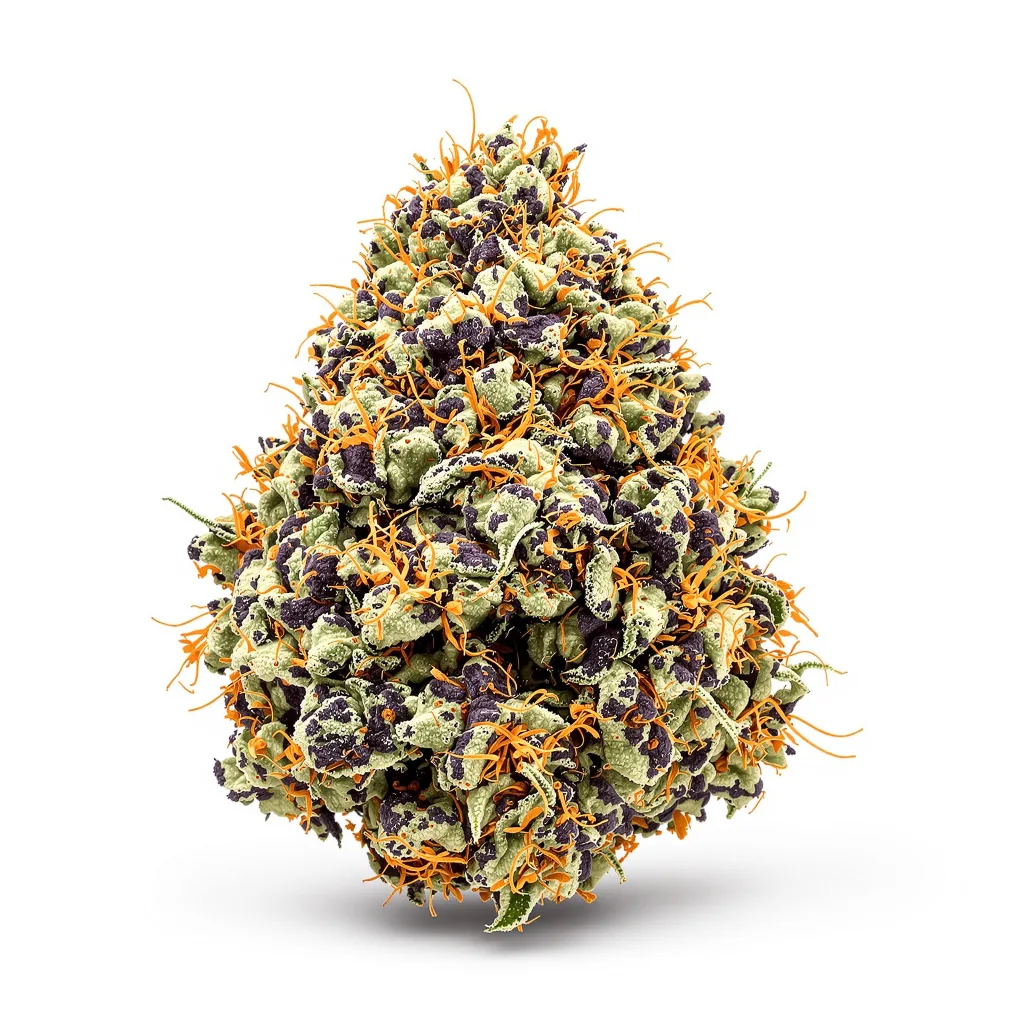 Hammerhead 71% indica / 29% sativa — fleur avec trichomes visibles
