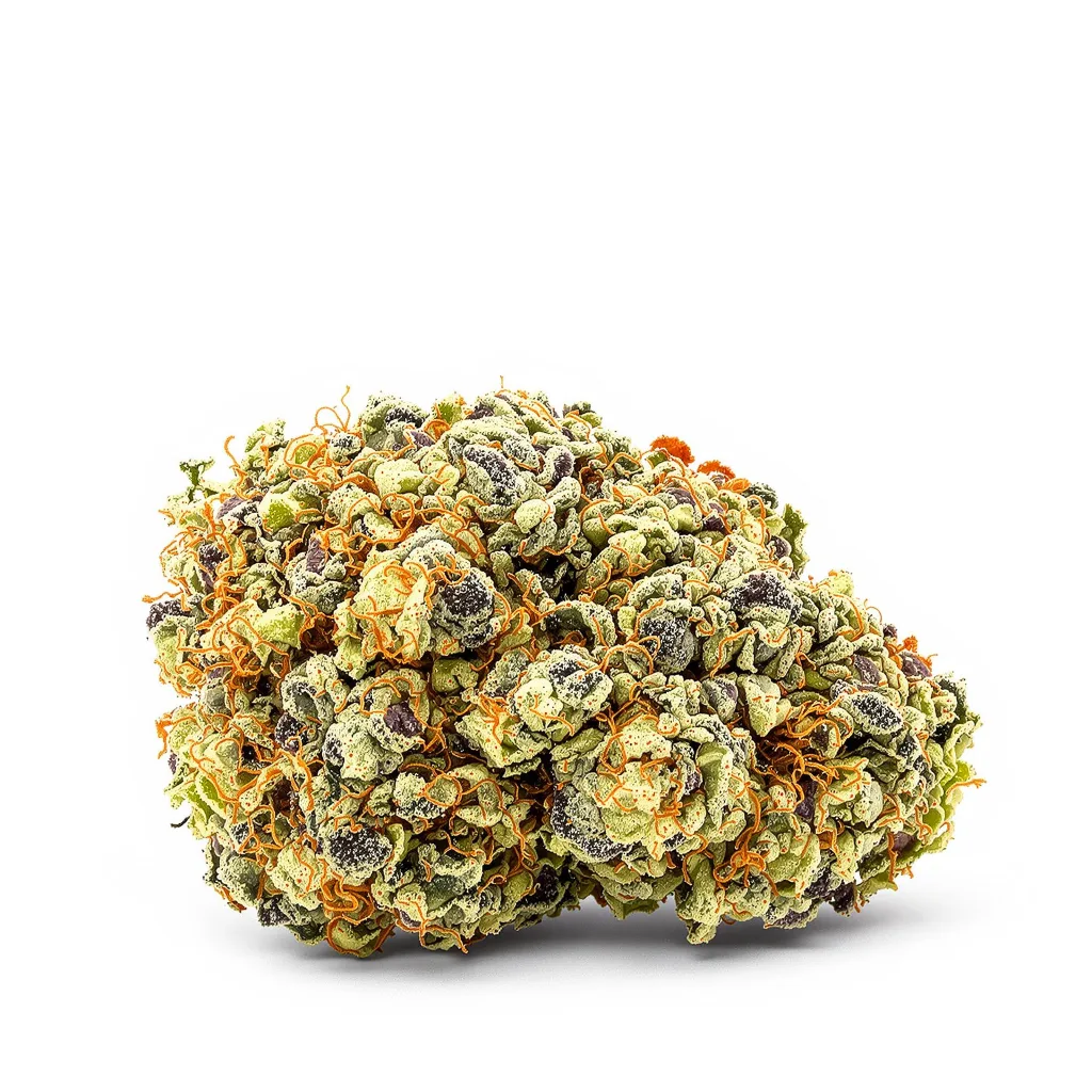 Han Burger 52% indica / 48% sativa — fleur avec trichomes visibles
