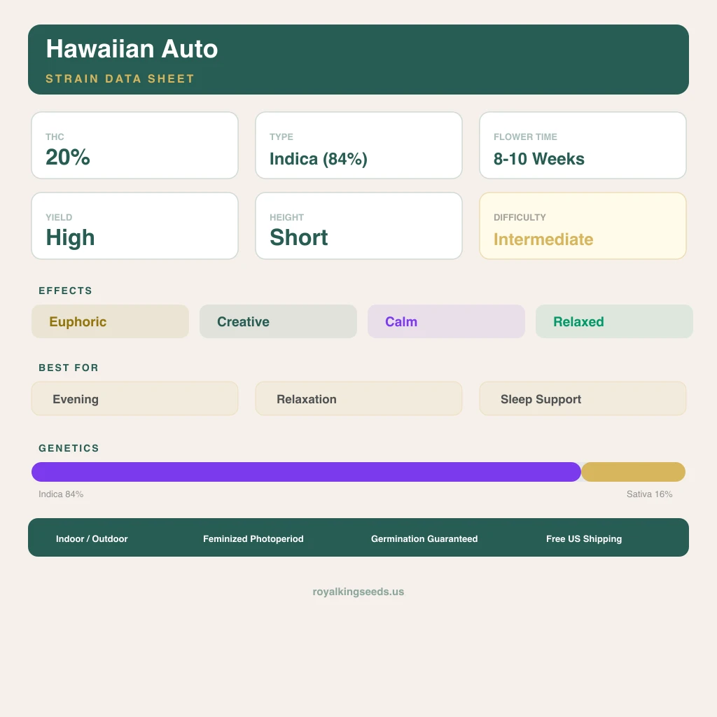 Hawaiian 84% indica / 16% sativa — fleur avec trichomes visibles