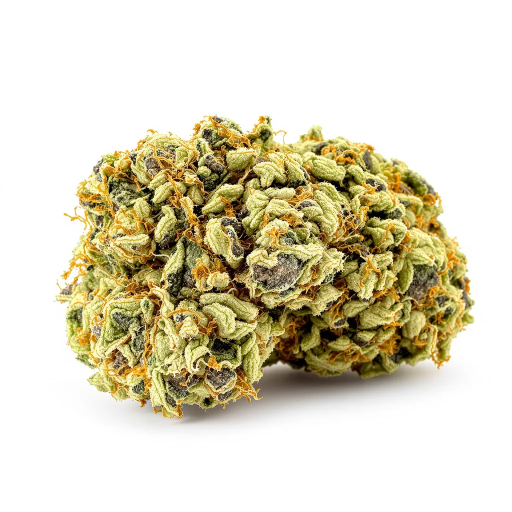 Hawaiian Dream CBD 47% indica / 53% sativa — fleur avec trichomes visibles