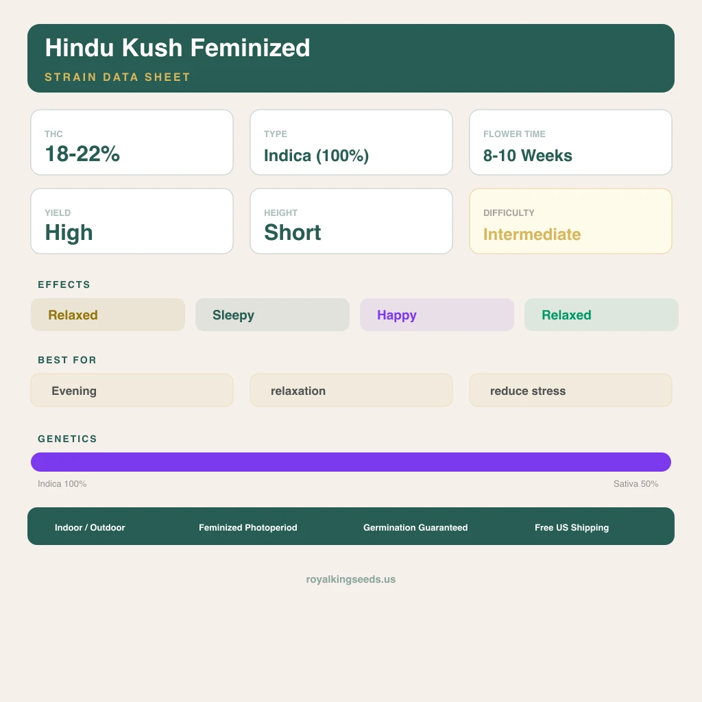 Hindu Kush 100% indica / 50% sativa — fleur avec trichomes visibles