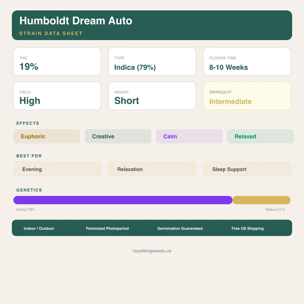 Humboldt Dream 79% indica / 21% sativa — fleur avec trichomes visibles