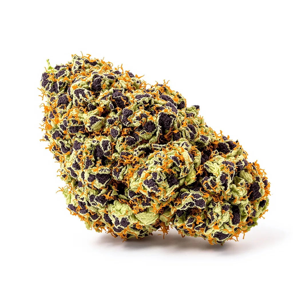 Illuminati OG 80% indica / 20% sativa — fleur avec trichomes visibles
