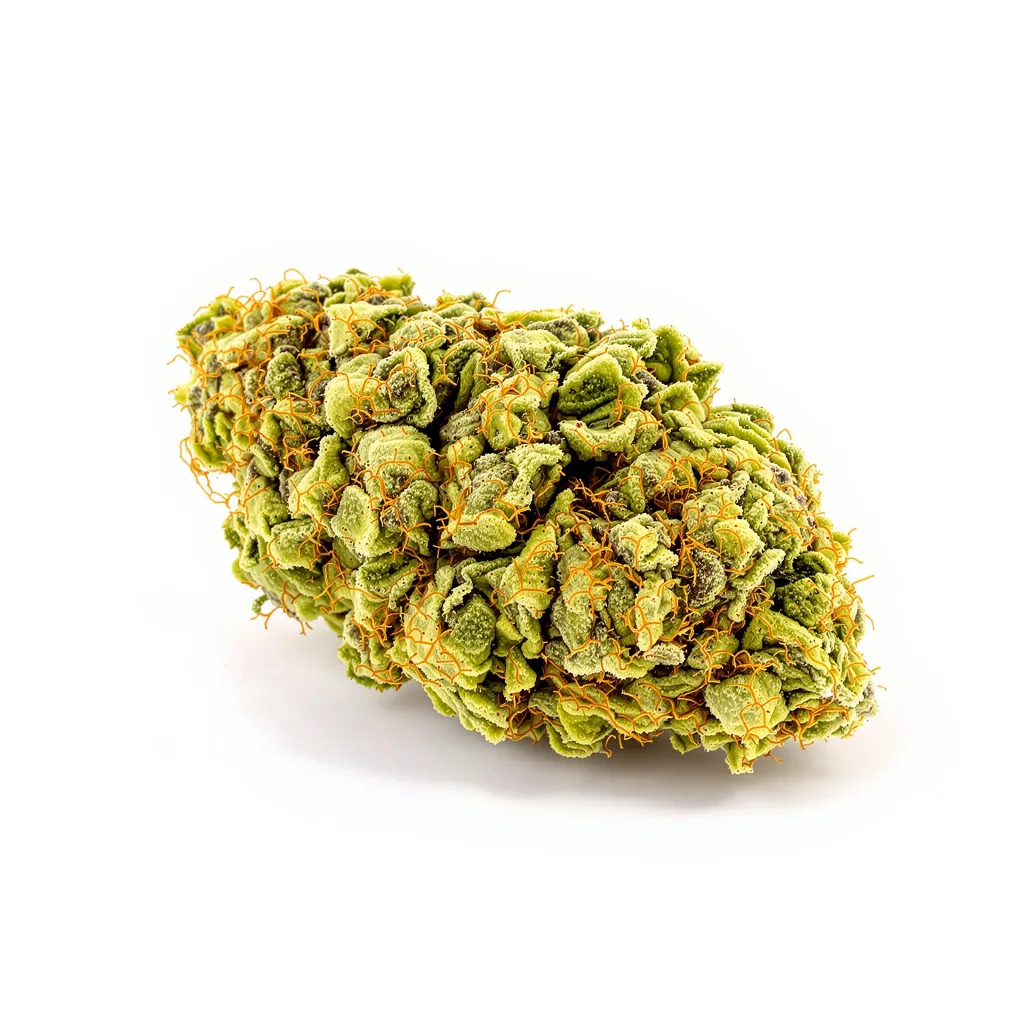 Industrial Plant 20% indica / 80% sativa — fleur avec trichomes visibles