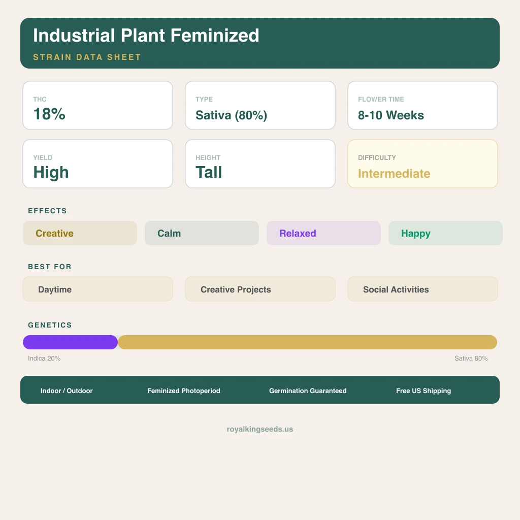 Industrial Plant 20% indica / 80% sativa — fleur avec trichomes visibles