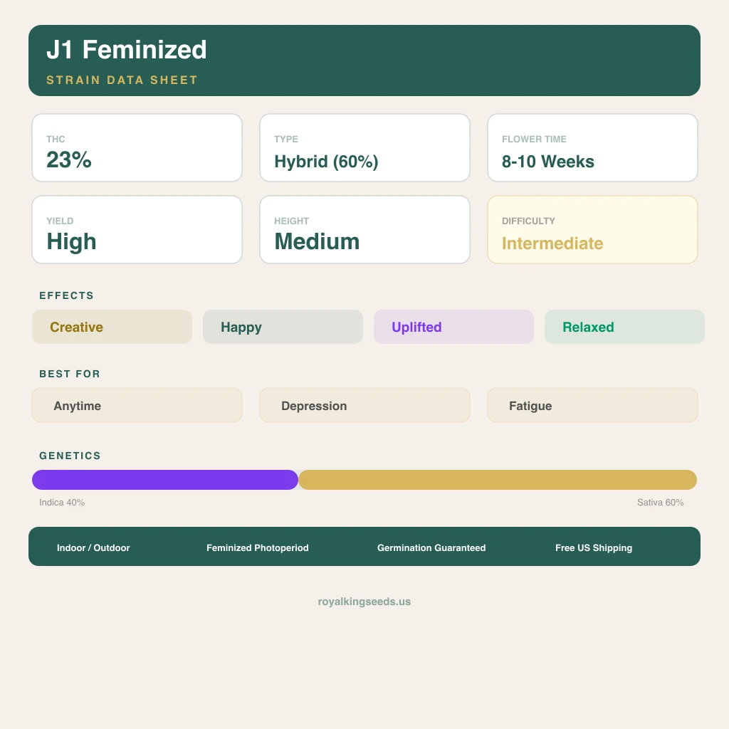 J1 40% indica / 60% sativa — fleur avec trichomes visibles