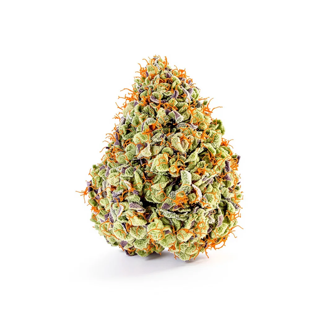 J1 40% indica / 60% sativa — fleur avec trichomes visibles