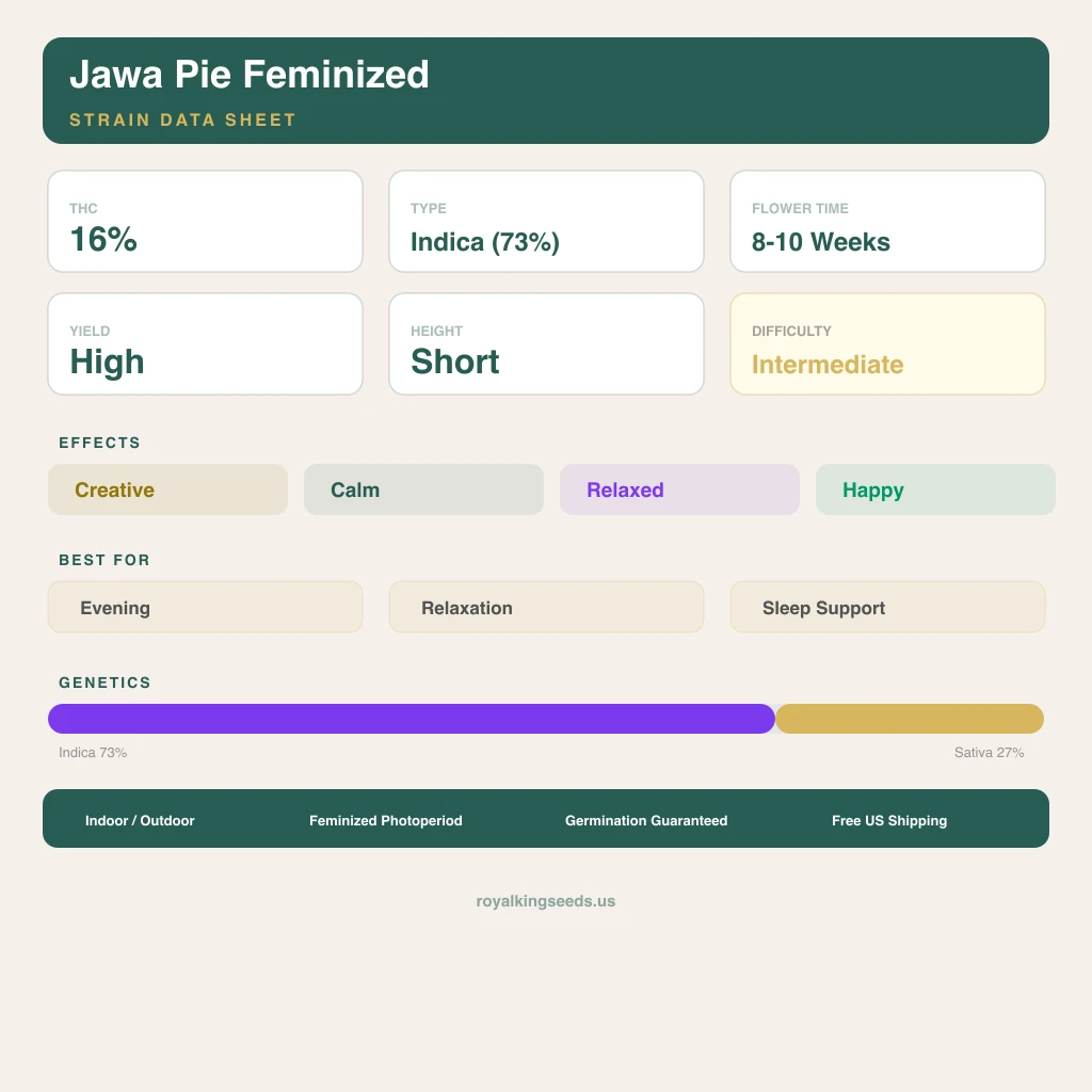 Jawa Pie 73% indica / 27% sativa — fleur avec trichomes visibles