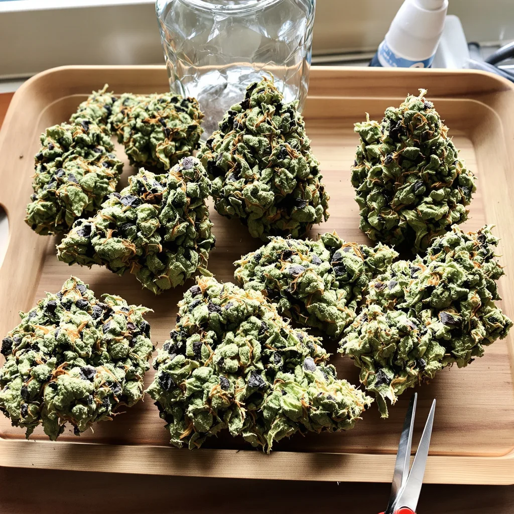 Jean Guy 40% indica / 60% sativa — fleur avec trichomes visibles
