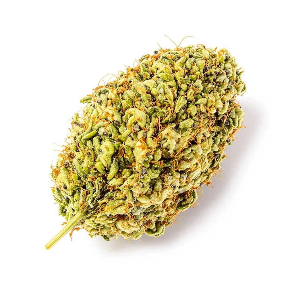 Jesus OG 30% indica / 70% sativa — fleur avec trichomes visibles