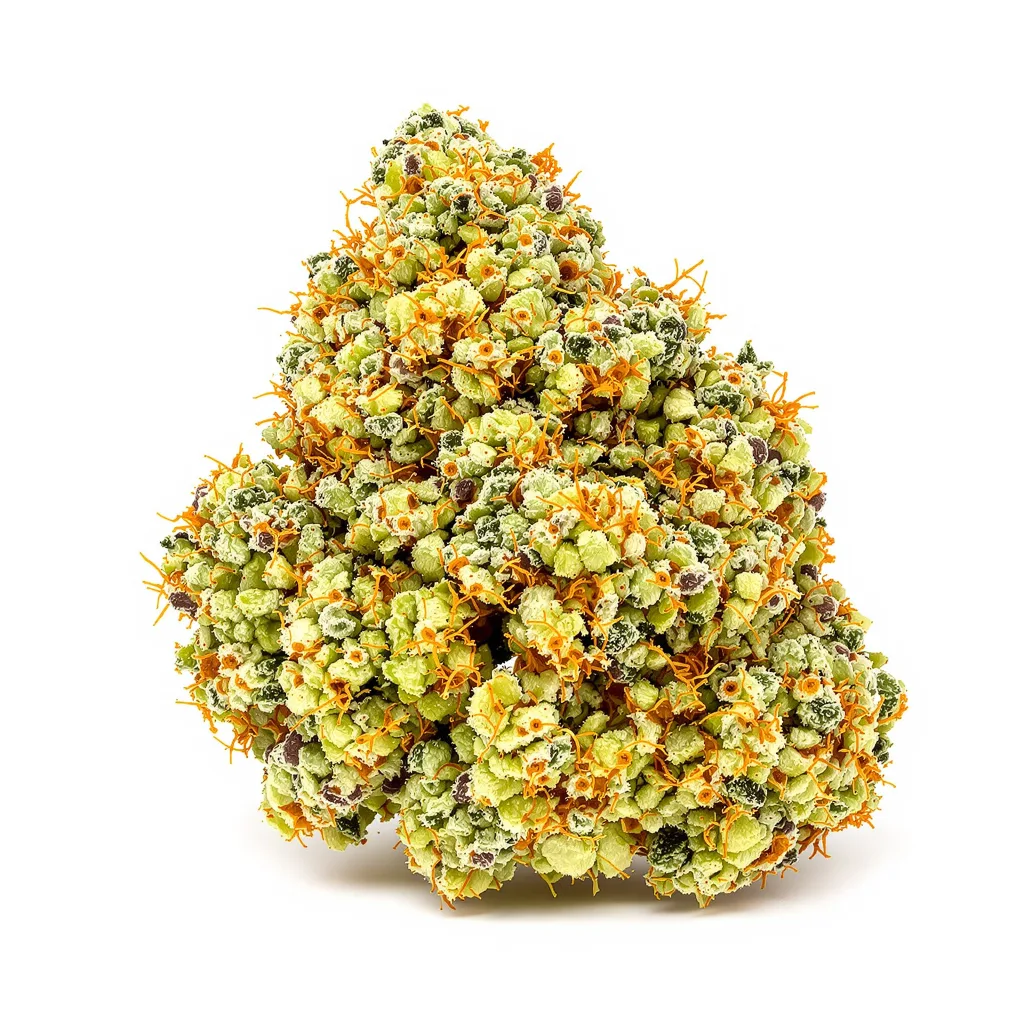 Jesus OG 30% indica / 70% sativa — fleur avec trichomes visibles