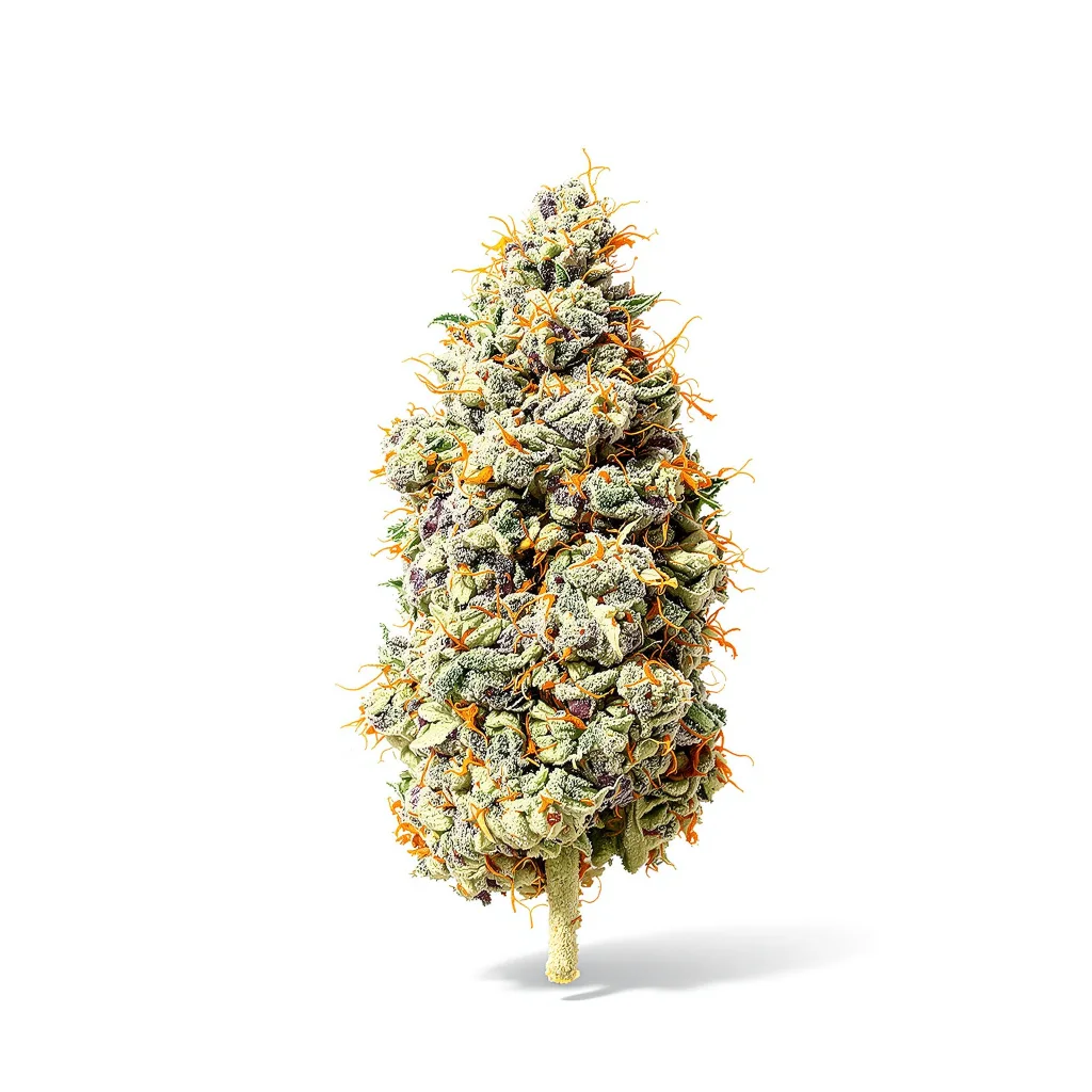 Jillybean 40% indica / 60% sativa — fleur avec trichomes visibles