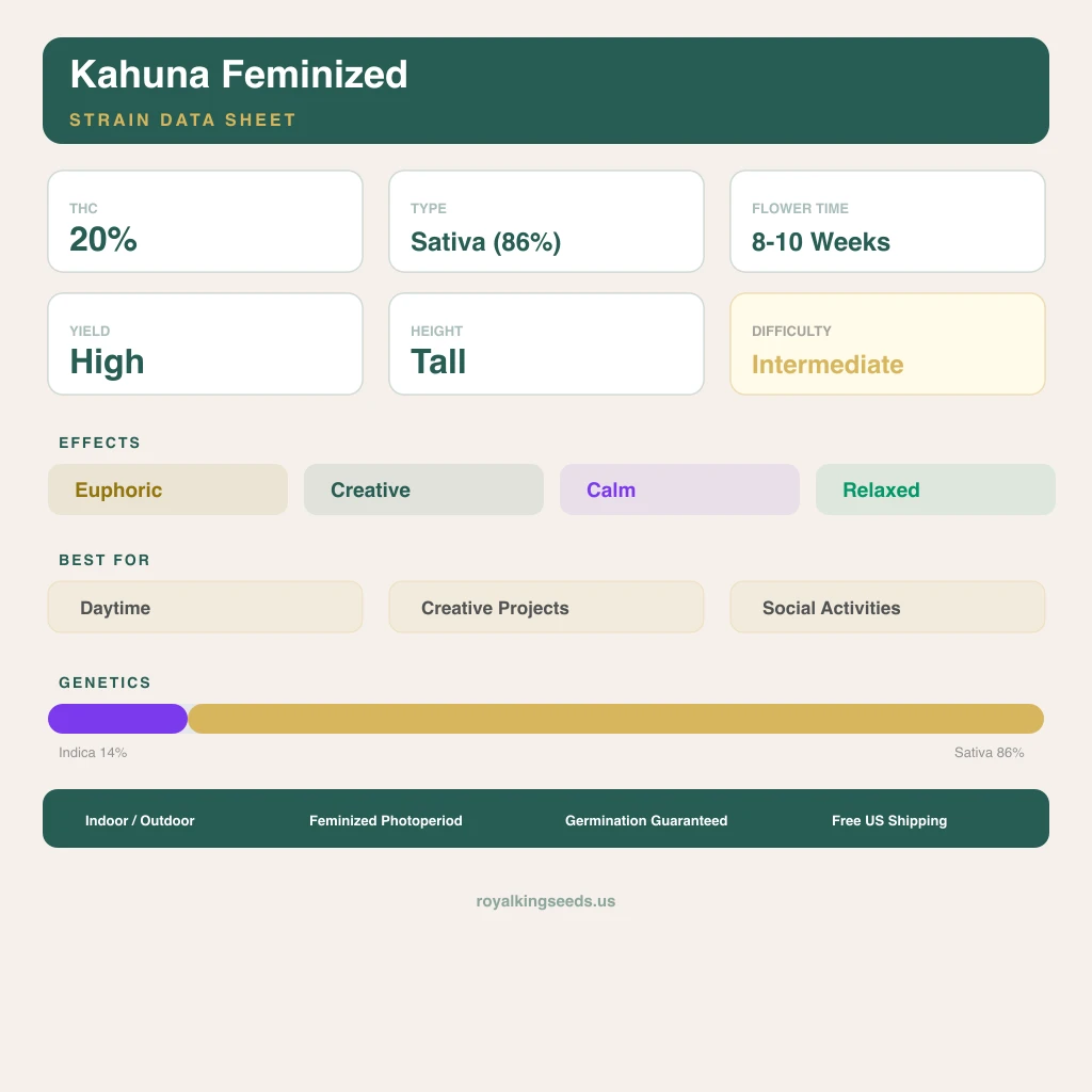 Kahuna 14% indica / 86% sativa — fleur avec trichomes visibles
