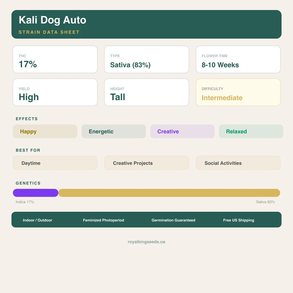 Kali Dog 17% indica / 83% sativa — fleur avec trichomes visibles