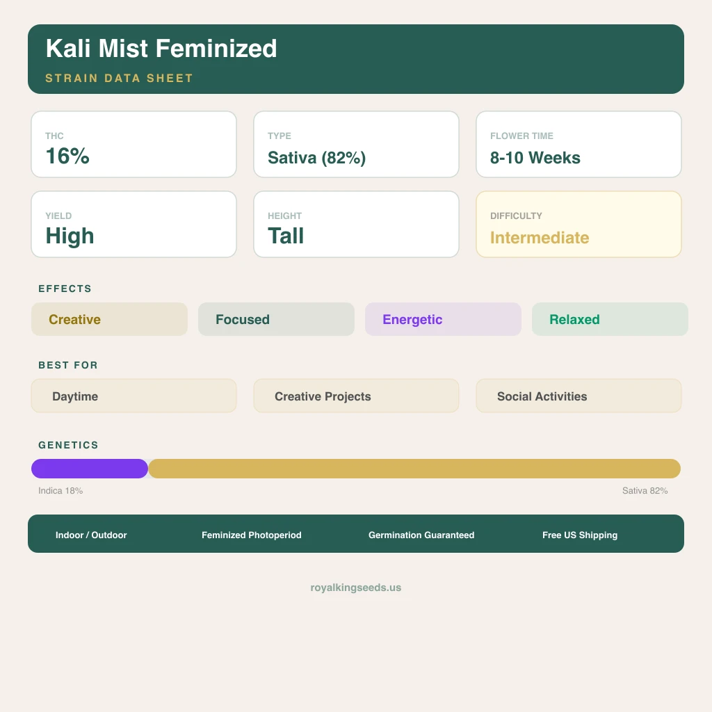 Kali Mist 18% indica / 82% sativa — fleur avec trichomes visibles
