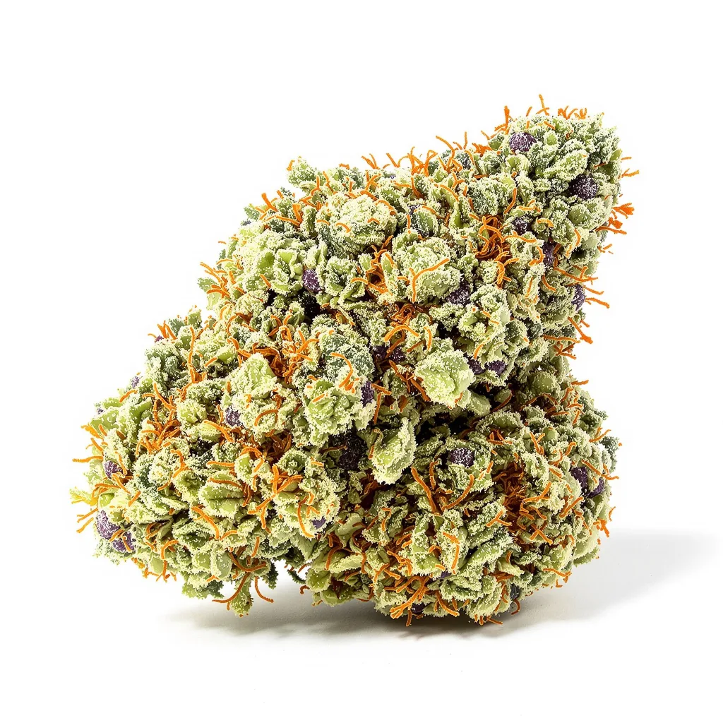 Killer Queen 40% indica / 50% sativa — fleur avec trichomes visibles