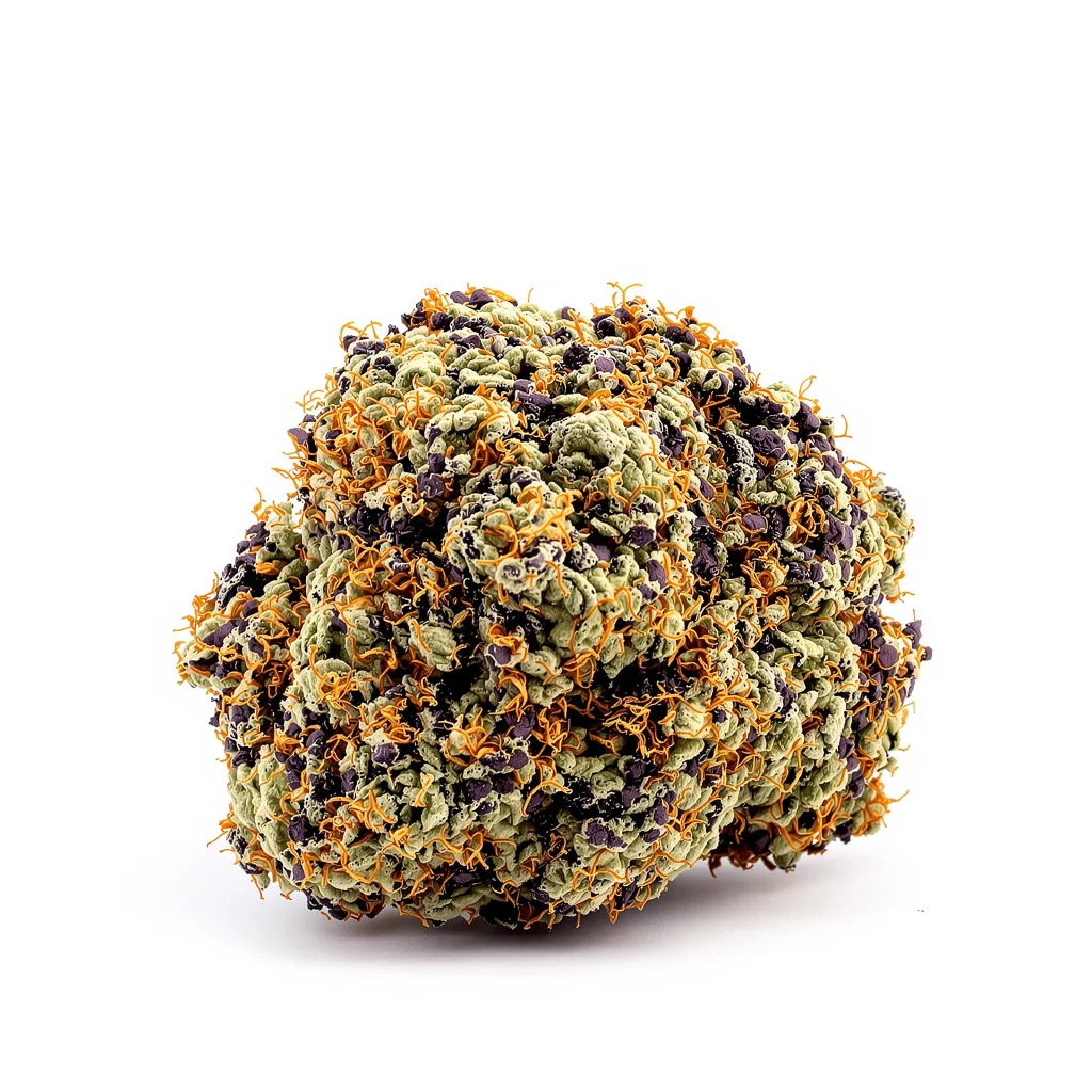 Kiwiskunk 69% indica / 31% sativa — fleur avec trichomes visibles