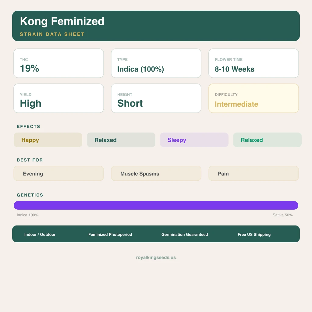 Kong 100% indica / 50% sativa — fleur avec trichomes visibles