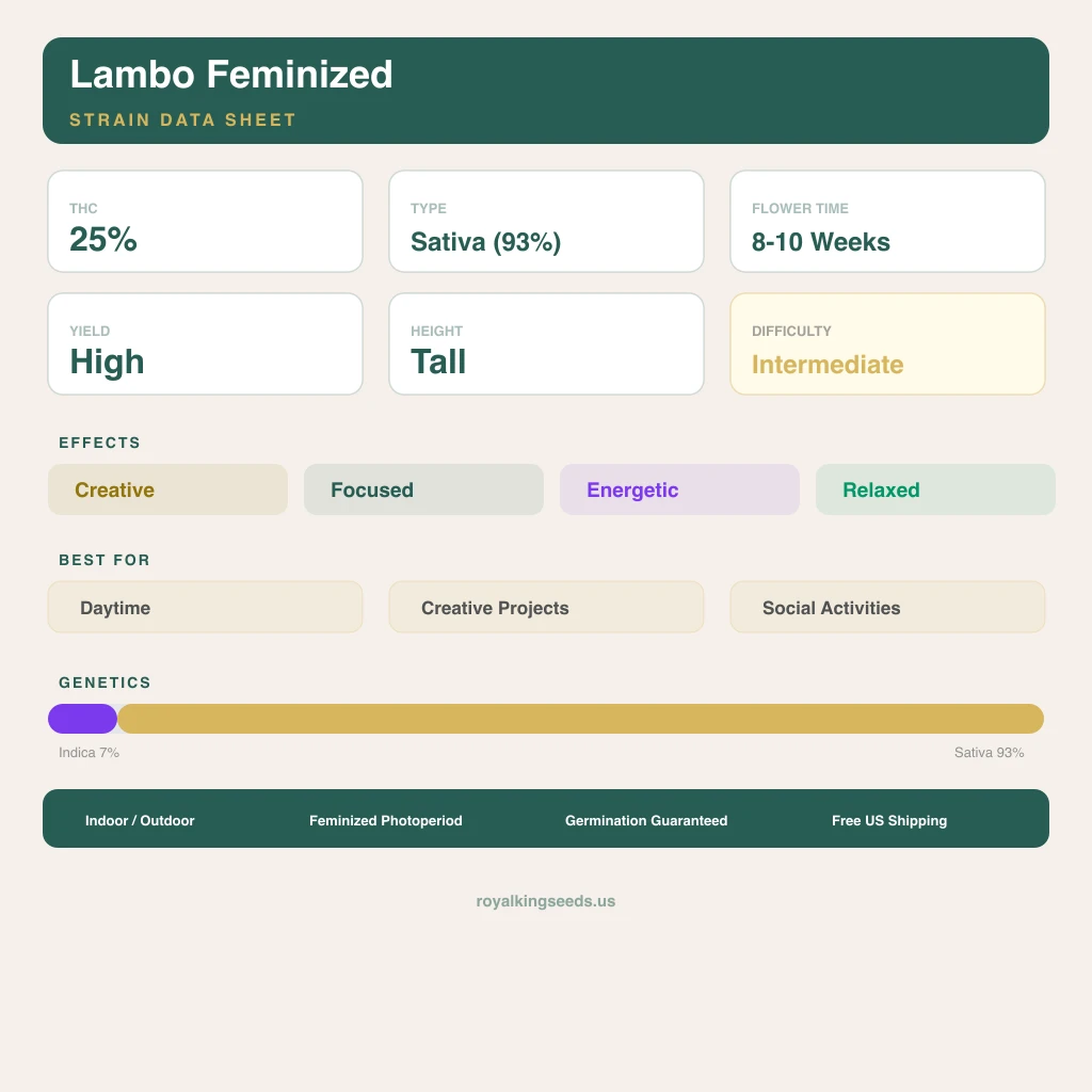 Lambo 7% indica / 93% sativa — fleur avec trichomes visibles