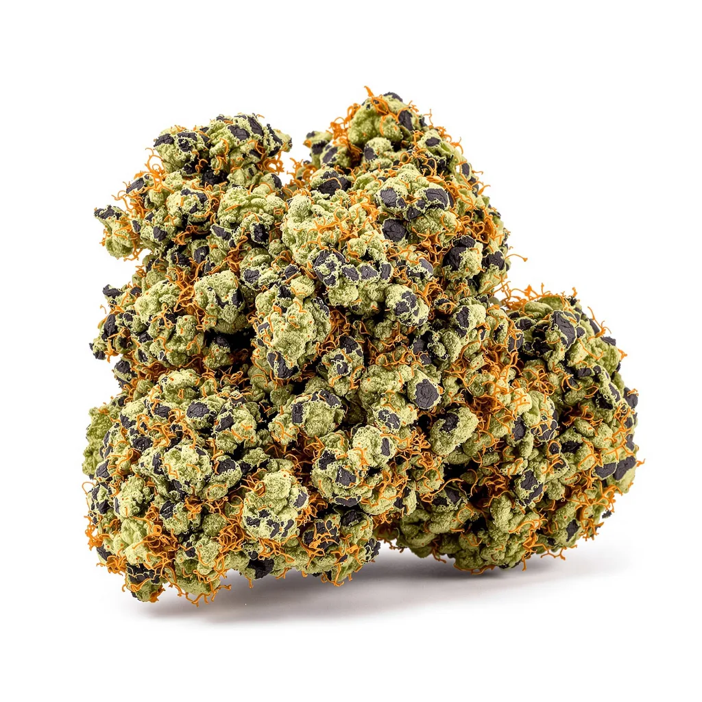 Lee Roy 69% indica / 31% sativa — fleur avec trichomes visibles