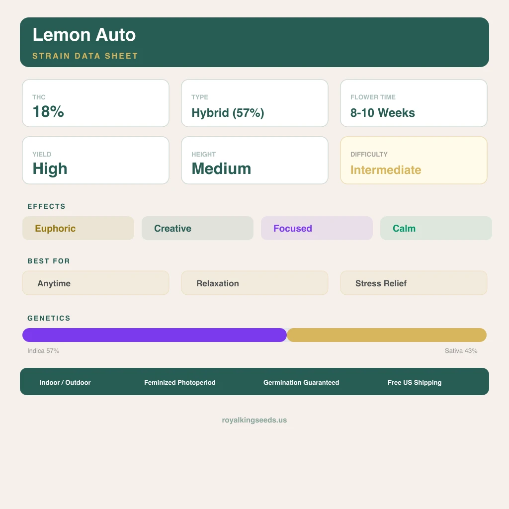 Lemon 57% indica / 43% sativa — fleur avec trichomes visibles